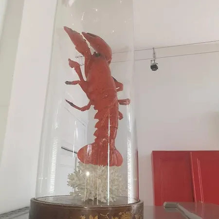 Maison Splendide A Bastia Avec Piscine Privee. Nyaraló
