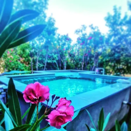 Maison Splendide A Bastia Avec Piscine Privee.