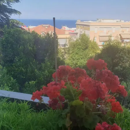 Maison Splendide A Bastia Avec Piscine Privee. *